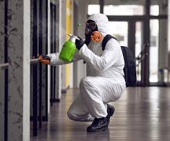 Best Commercial Mold Inspection  in Harveys Lake, PA